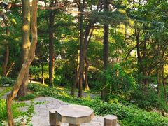 -观象山公园