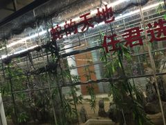 -荔城生鲜盛宴(番禺旗舰店)