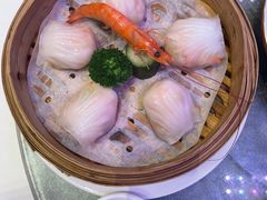 -和苑·精致粤菜(珠江新城店)