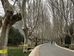 -郑州植物园