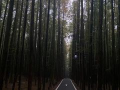 -山王坪喀斯特国家生态公园