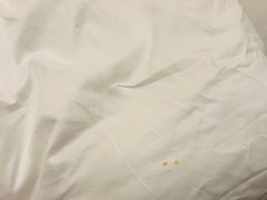 -上海三甲港铂瑞酒店-卓越西餐厅