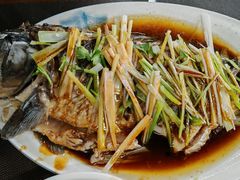 -微山岛春天里酒家