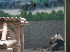 -西安秦岭野生动物园