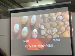 -上海大自然野生昆虫馆(东方明珠·爬宠昆虫探索中心)
