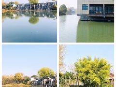 -杭州西溪宾馆-松露西餐厅