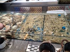 -半岛听涛蒸汽海鲜自助(K11店)