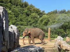 -宁波野生动物园