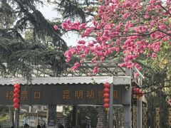 -昆明动物园