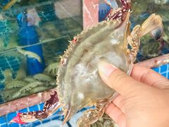 -海香园饭店