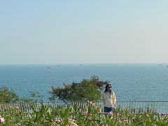 -玫瑰海岸文化旅游度假区
