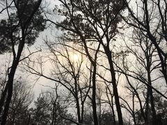 picture-南京汤山紫清湖生态旅游温泉度假区