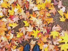 -無邪日式甜品(世博源店)