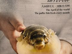 -肆月河豚·新淮扬(金融街店)