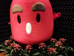 -广州富力君悦大酒店空中花园