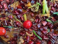 -老板恋上鱼(恒隆广场店)