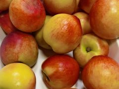 -蒙都43°9羊火锅·赤峰美食(宁城店)