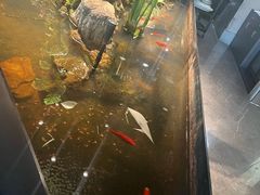 -映像威海·威海宴(威高广场店)