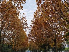 -大渡口区义渡公园