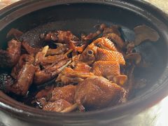 -百家春好德来姜母鸭