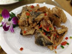 -寻味顺德·南记酒家·传统顺德菜·鱼生(广源路店)
