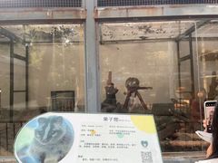 -柳州市动物园