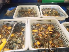 -亚马逊海鲜自助(梅溪湖步步高店)