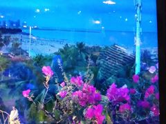-蠔爺王志德生蚝馆(金沙湾店)