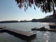 -上海海湾国家森林公园