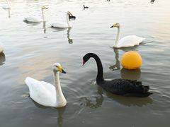 -上海野生动物园