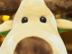 -天津君隆威斯汀酒店