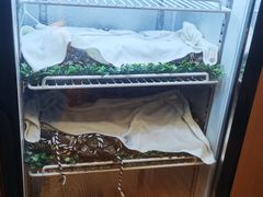 -如轩·海鲜砂锅粥·潮汕菜(海珠店)