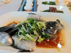 -鹿鸣酒家(越秀店)