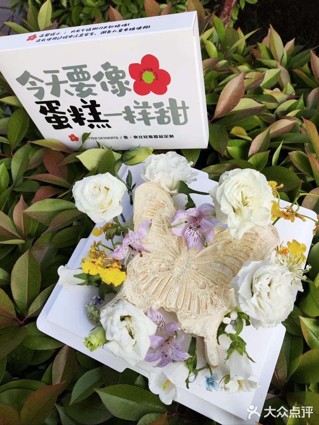 冰蝴蝶🦋太美啦！值得拥有
