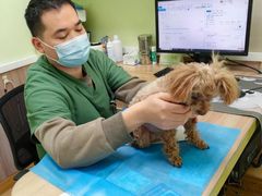-瑞鹏宠物医院·宠保定点·心脏科·内科(御桥分院)
