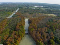 -上海海湾国家森林公园