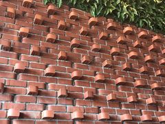 -Tanuki Raw(Orchard Central)