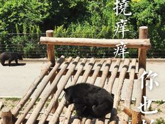 -大连森林动物园