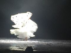 -宁波大剧院