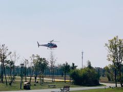 -瑶湖郊野森林公园