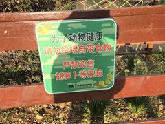 -大连森林动物园