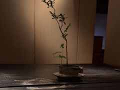 -元古本店(南锣鼓巷店)