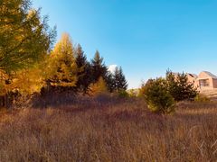 -塞罕坝国家级自然保护区