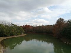 -上海海湾国家森林公园