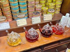 -布兰兔的植物庄园(杭州南宋御街店)
