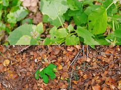 -白草畔自然风景区