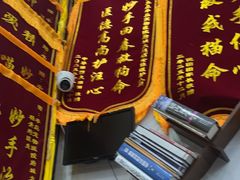 -半岛宠物医院24小时·内窥镜·牙科·碎石中心(府城大道店)