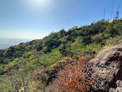 -北京西山国家森林公园