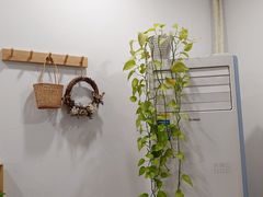 -iF摄影•全家福•证件照•形象照(南山店)