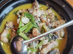 -饭怕鱼(阳光100店)